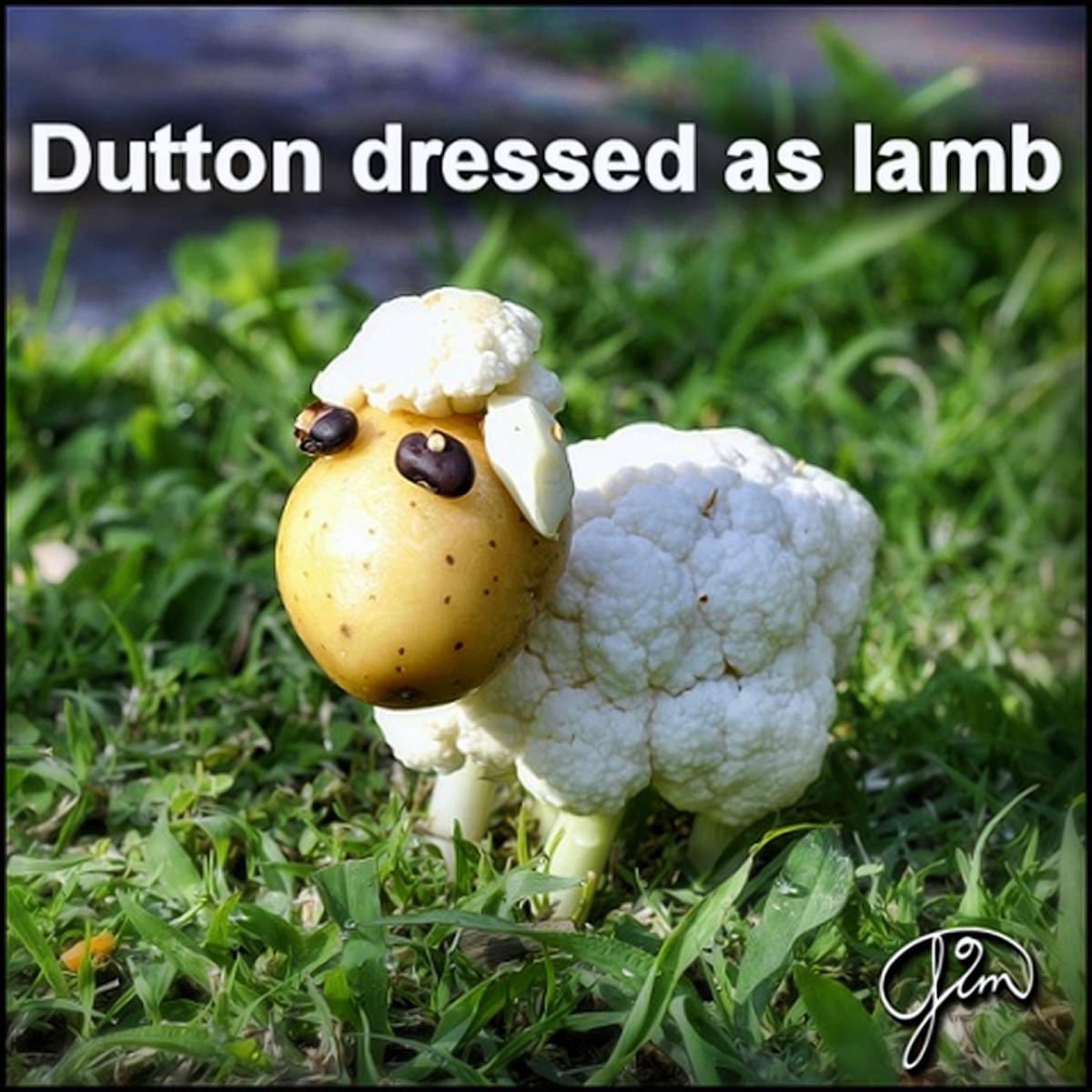 Dutton Dressed Up As Lamb